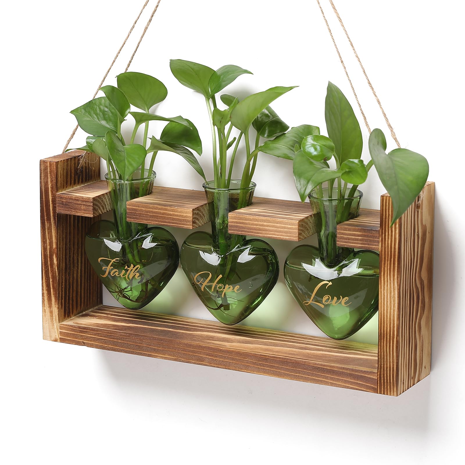 MTsigns Propagation Station