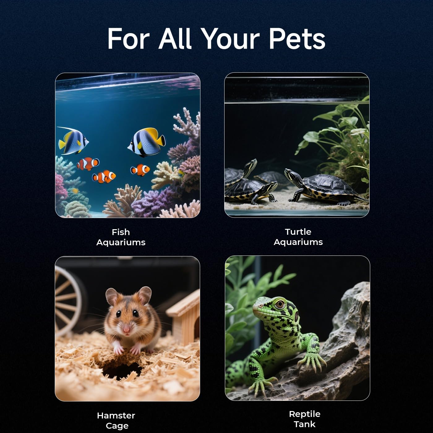 Caméra WiFi 2K HD pour aquarium et terrarium, grand angle 140°, vision nocturne, audio bidirectionnel