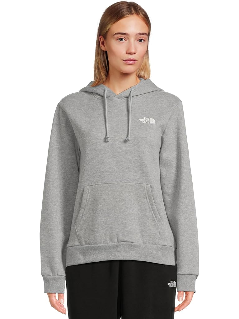 Gray The North Face Evolution Box NSE Hoodie