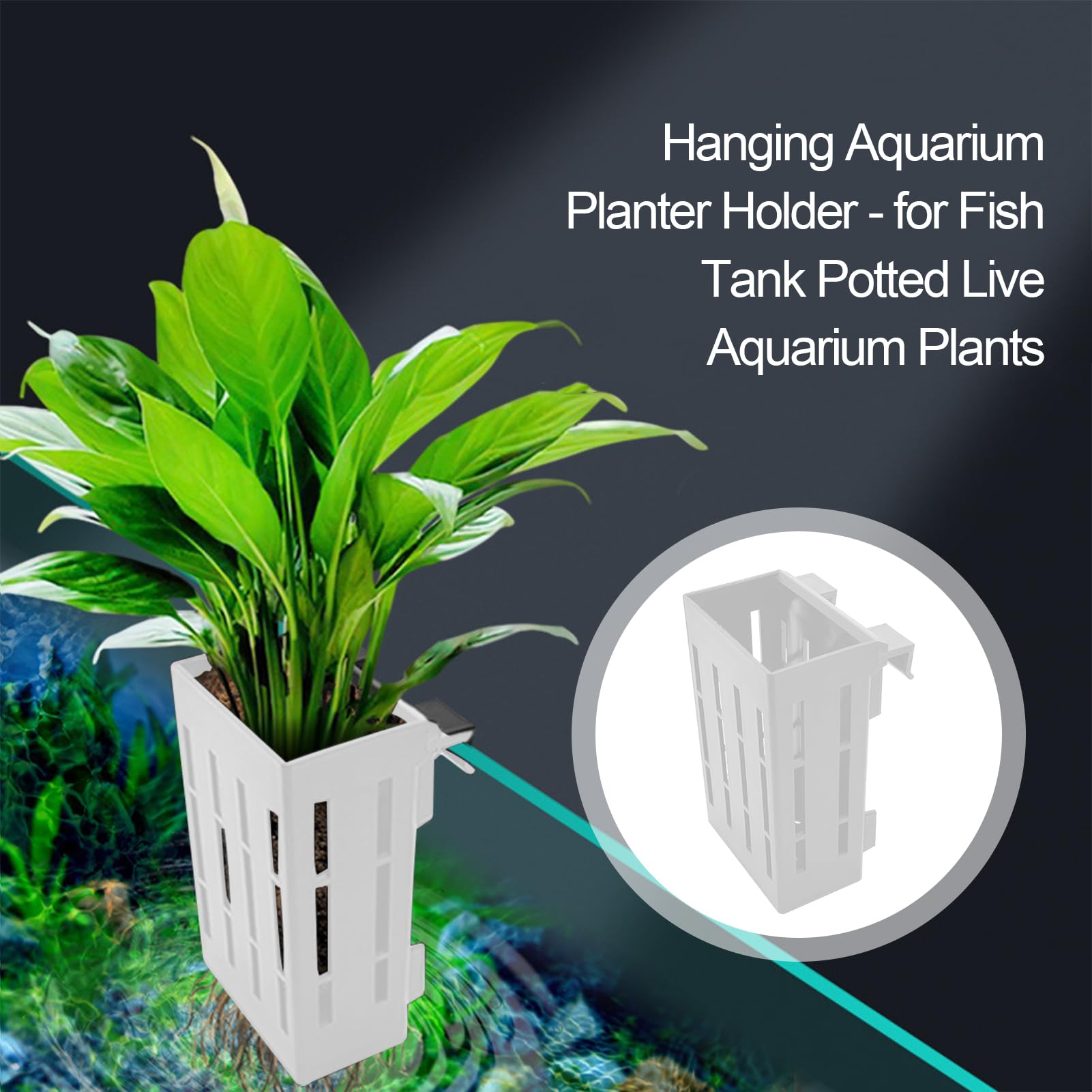 Aquarien Pflanzenhalter Hängbares Pflanzengestell Mit Loch