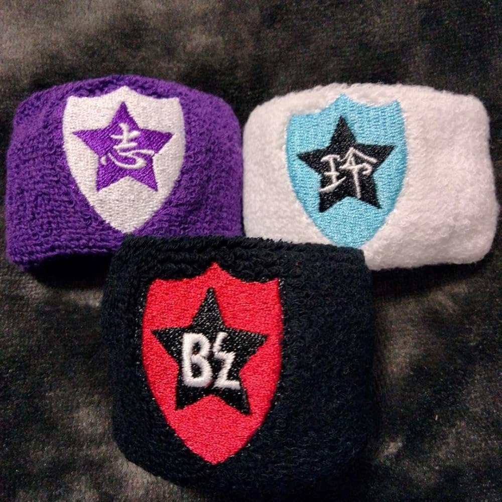 B'z エンドレスサマー XXV 2013 限定 志 リストバンド 紫 希少 B'z