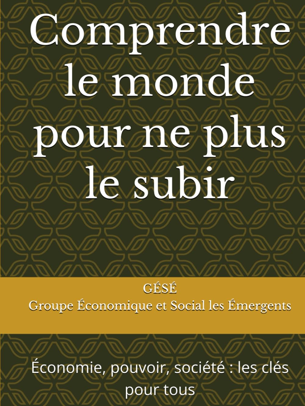 Comprendre le monde pour ne plus le subir: Économie, pouvoir, société : les clés pour tous