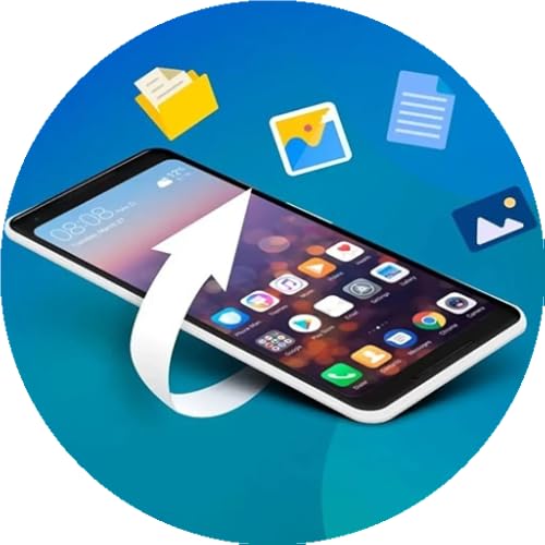Samieenejad Recovery Files Pro 2024 cover