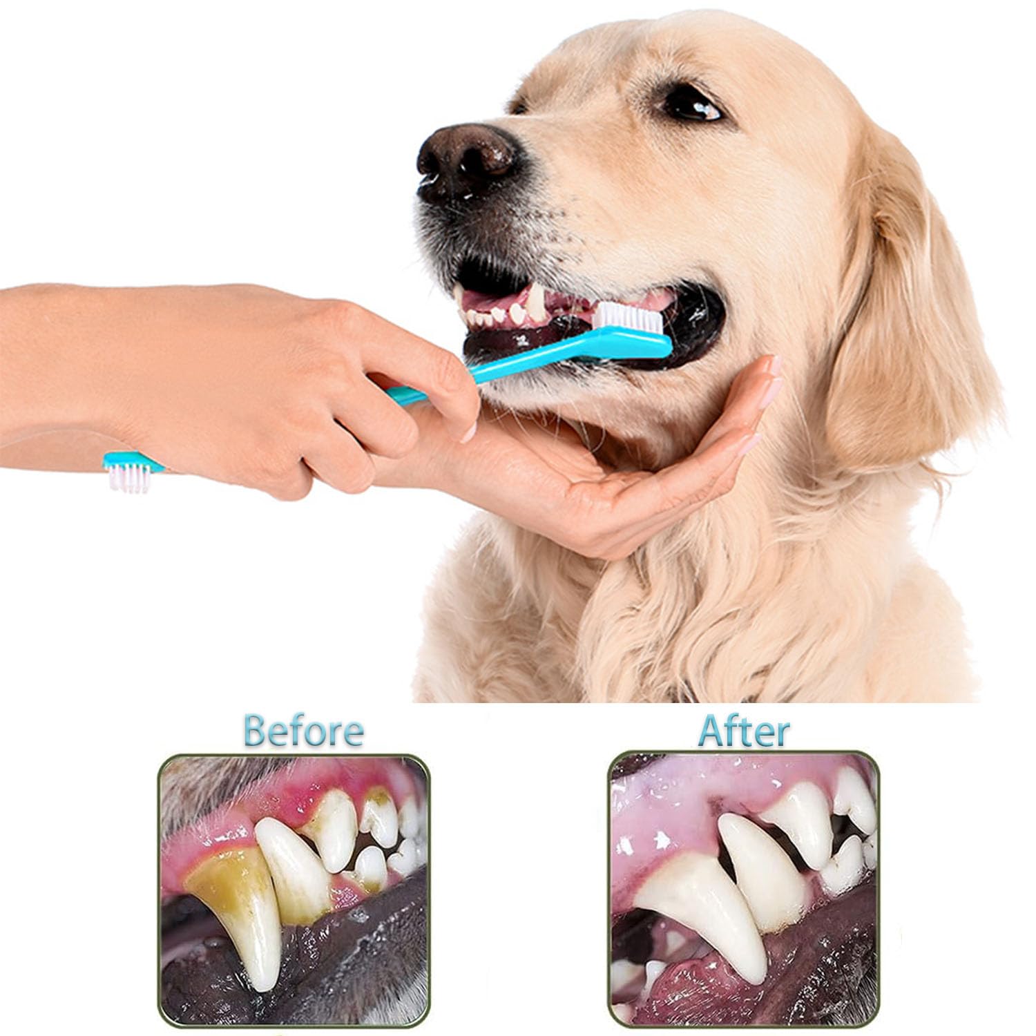 Amazon.co.jp: URMYONLY 犬用歯ブラシ 指用歯ブラシ 360度