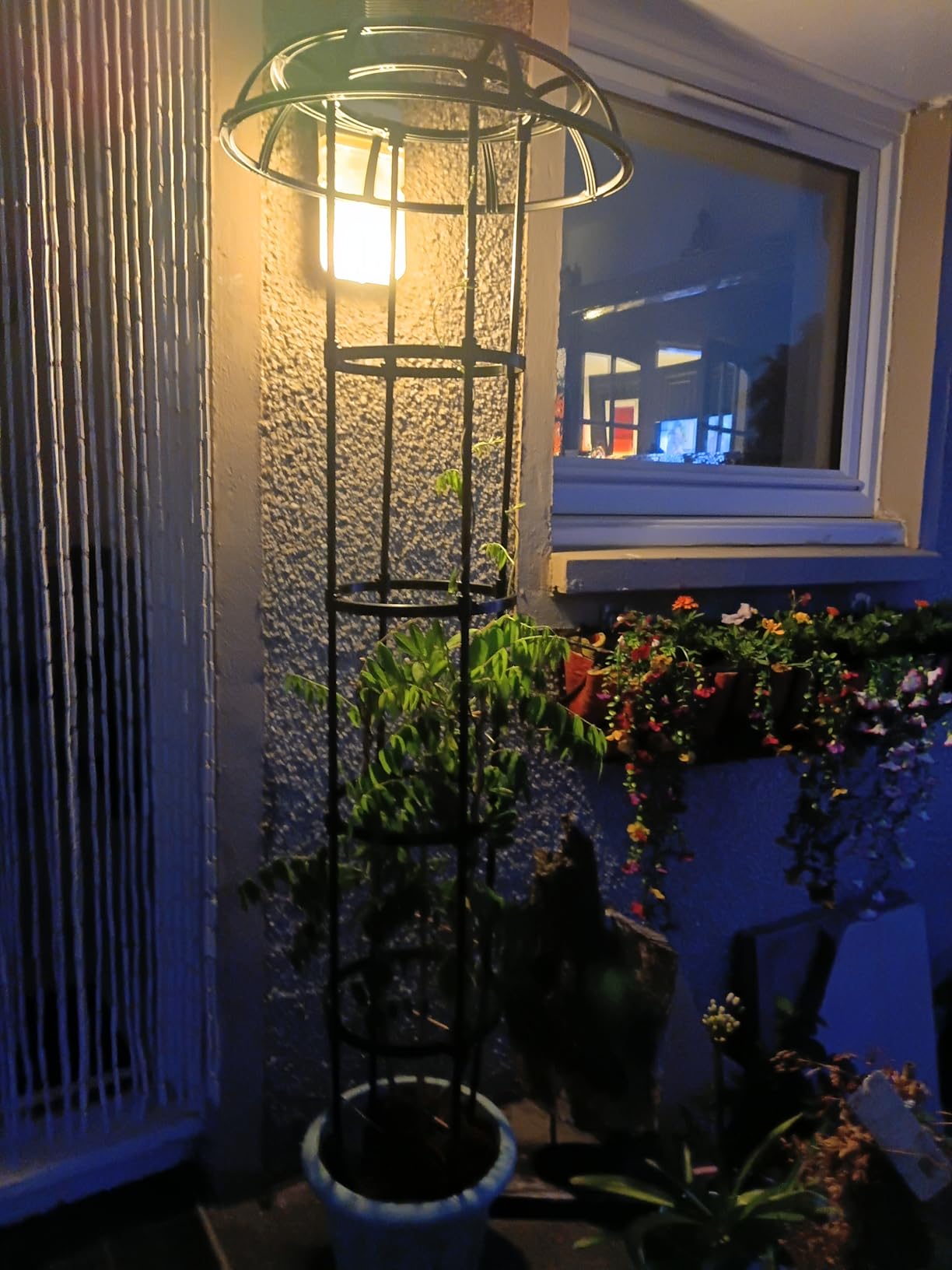 Customer photo