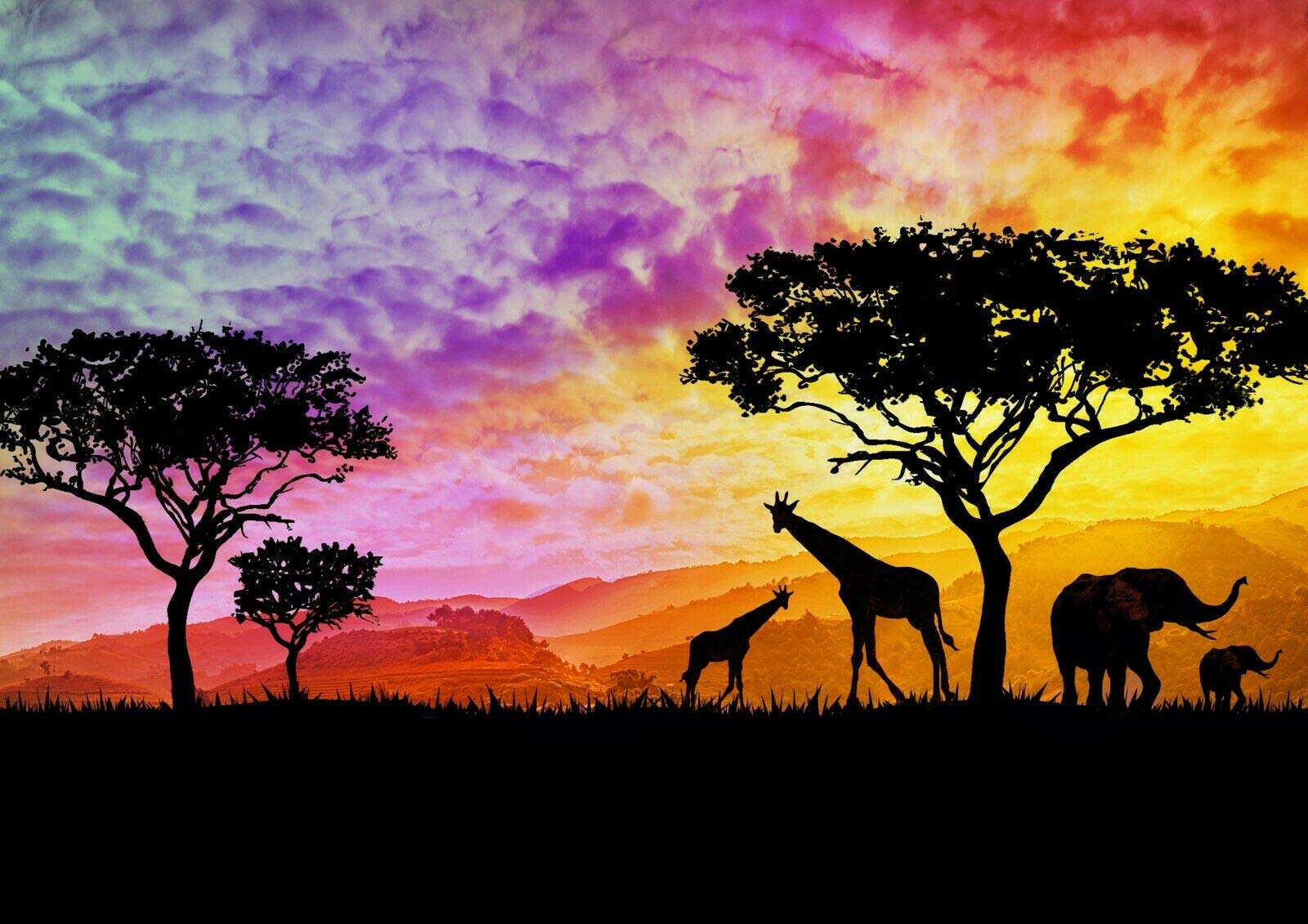 A4| African Safari Poster Size A4 Wildlife Animal Poster #12325