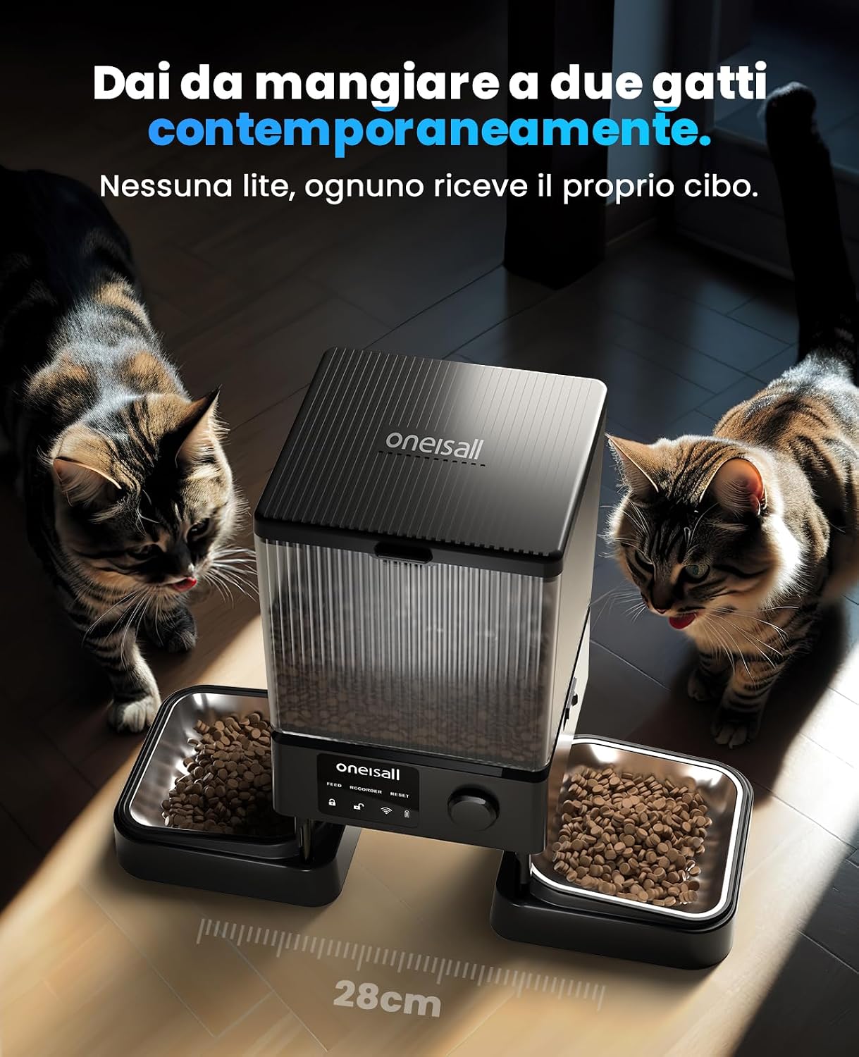 Two cats eating simultaneously from the oneisall dual-bowl feeder