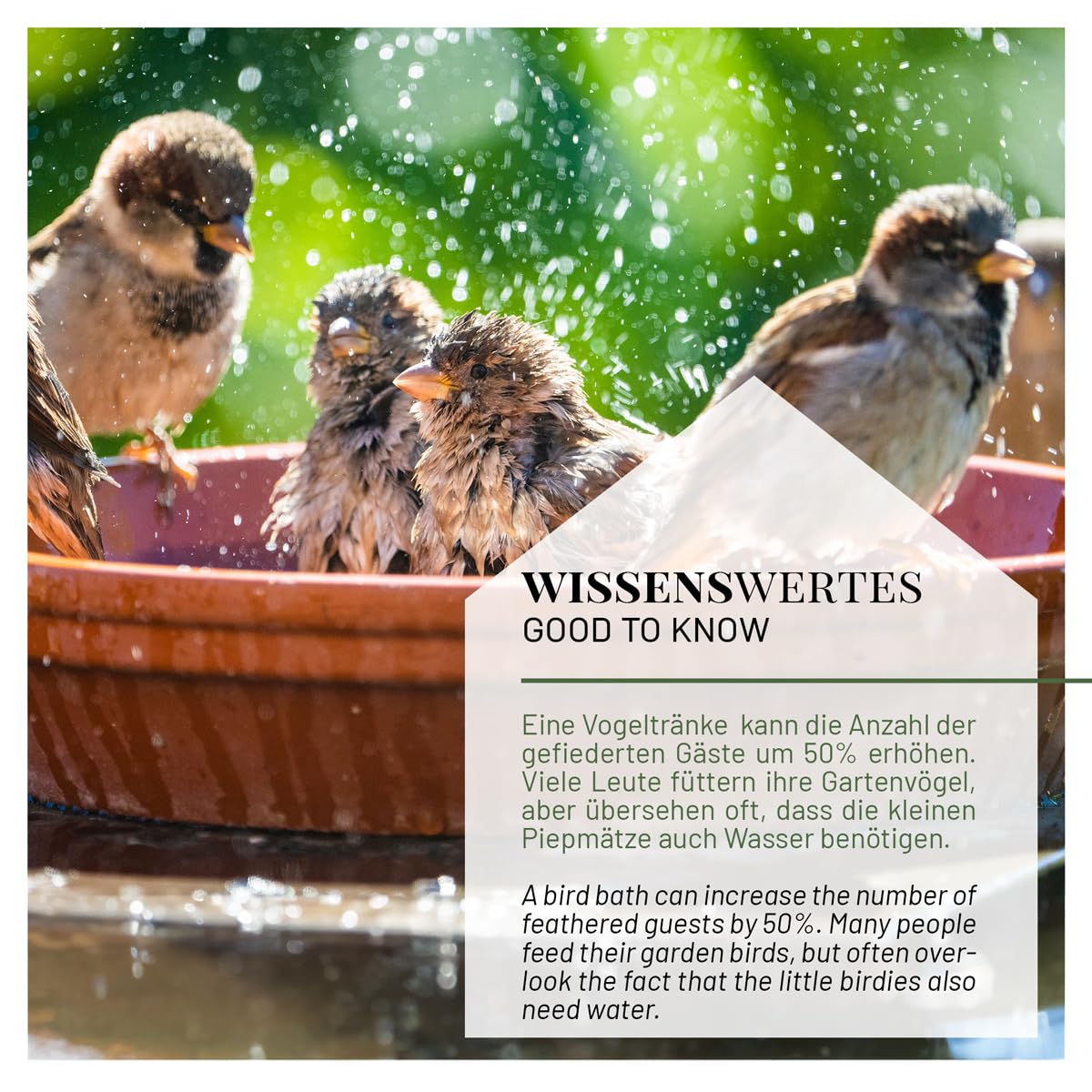 wildlife home Abreuvoir pour oiseaux debout avec pied I Distributeur de nourriture pour oiseaux en fonte résistant au gel pour jardin et balcon I Bain d'oiseaux I Mangeoire pour oiseaux sauvages