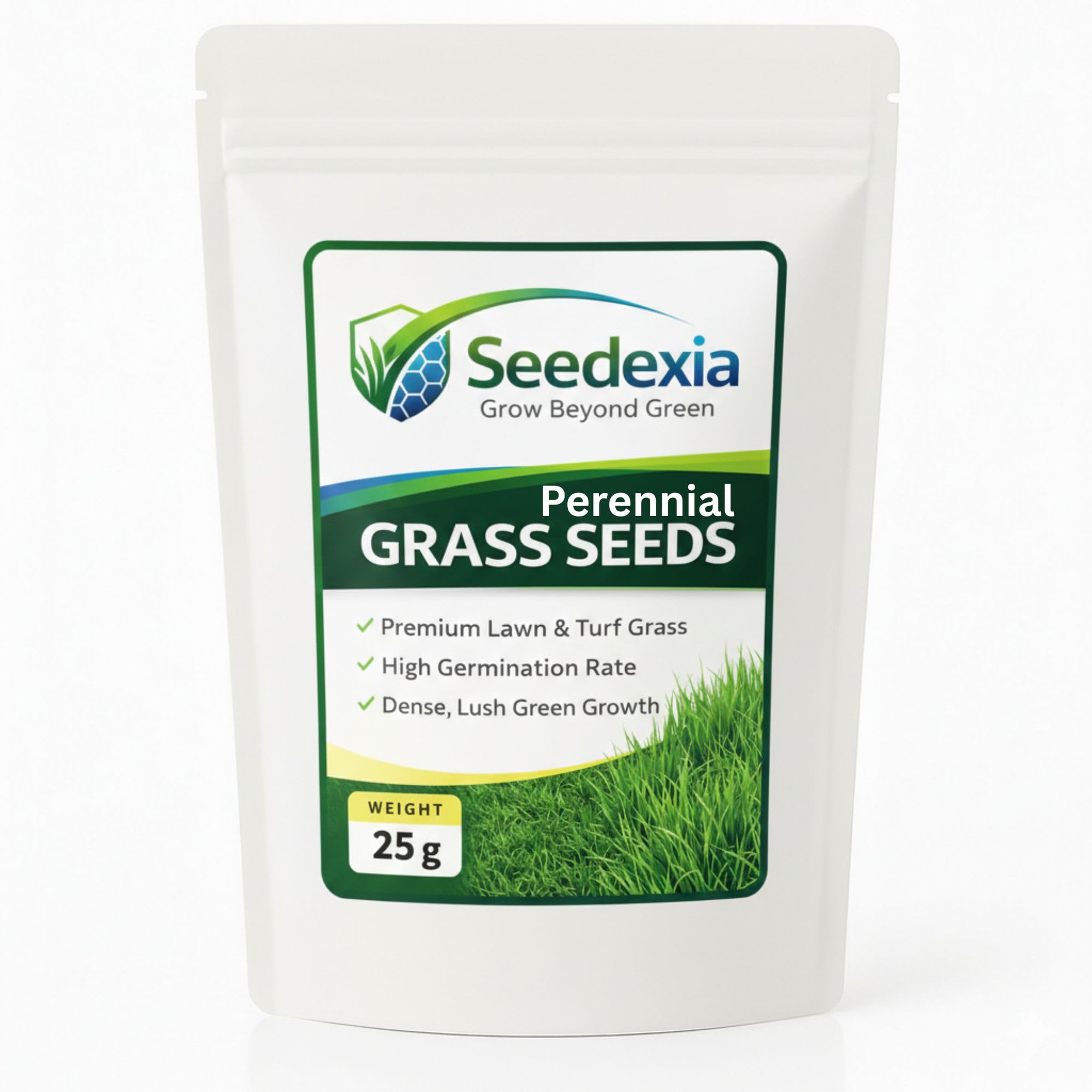 Seedexia Perennial Ryegrass Seeds – Lawn Grass Seed for Sowing for Home Garden, Lawn & Turf | Fast Germination, Dense and Lush Green Growth | Suitable for Pots, Lawns and Outdoor Use (25 g)-image-11