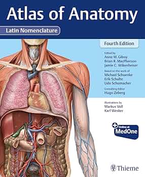 Atlas of Anatomy, Latin Nomenclature: 9781684204519: Medicine