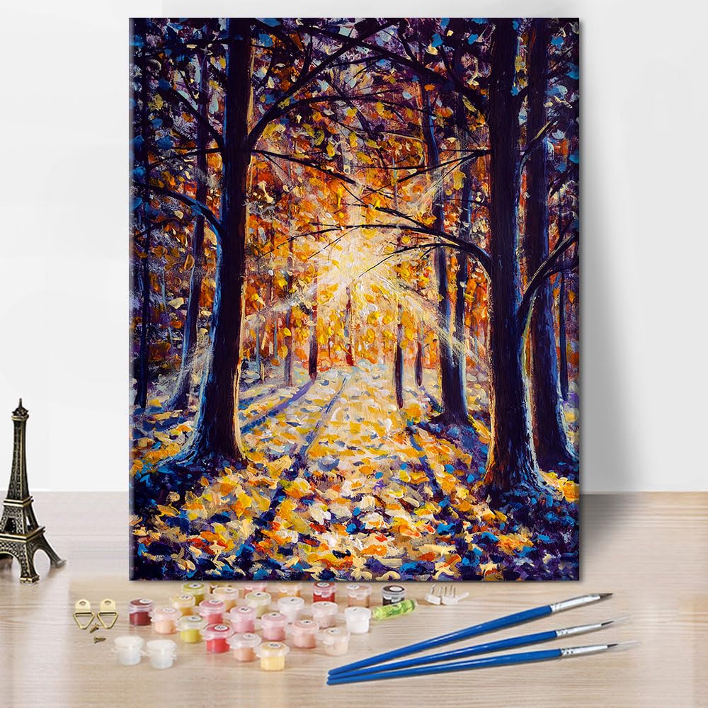 TISHIRON Forest Paint by Numbers Kit for Adults Sunny Winter Landscape Adult Paint by Number Kits DIY Canvas Sun in Winter Forest Oil Painting Kit for Art Crafts Kits Gift Without Frame 16x20 Inch