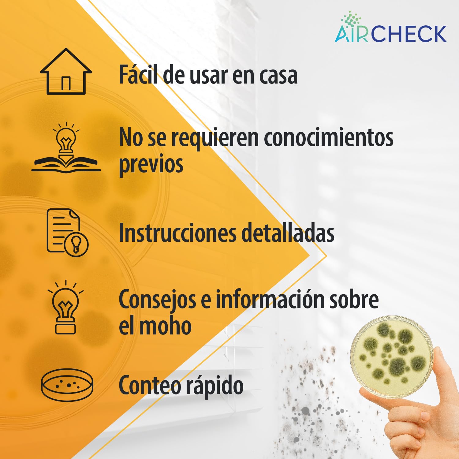 Prueba de moho en la vivienda – Tester de moho para hasta 6 habitaciones – Test rápido con placas de cultivo para evaluar el aire interior