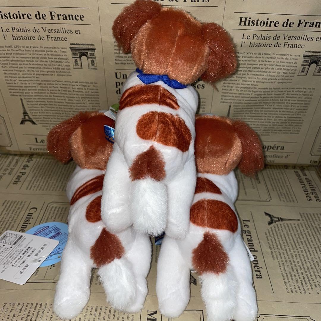 Amazon.co.jp: コーイケルホンディエ おでこちゃん デコピン ST
