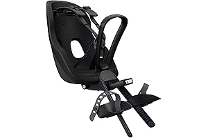 The Best Way to Travel: Thule Yepp Nexxt2 Mini Rear Bike Seat
