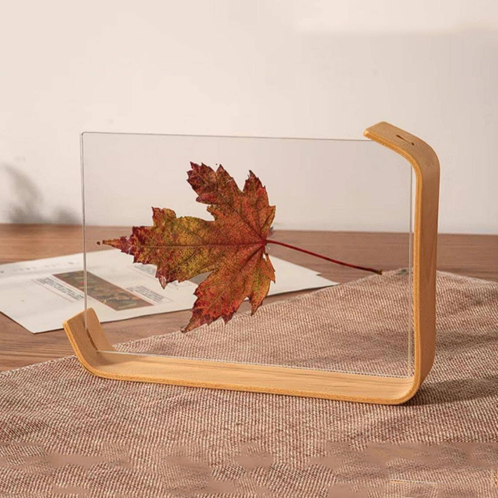 Dwustronna, przezroczysta ramka na zdjęcia 3D do prezentacji okazów roślin, kwiatów reliefowych (Legno, 14 x 21 cm)