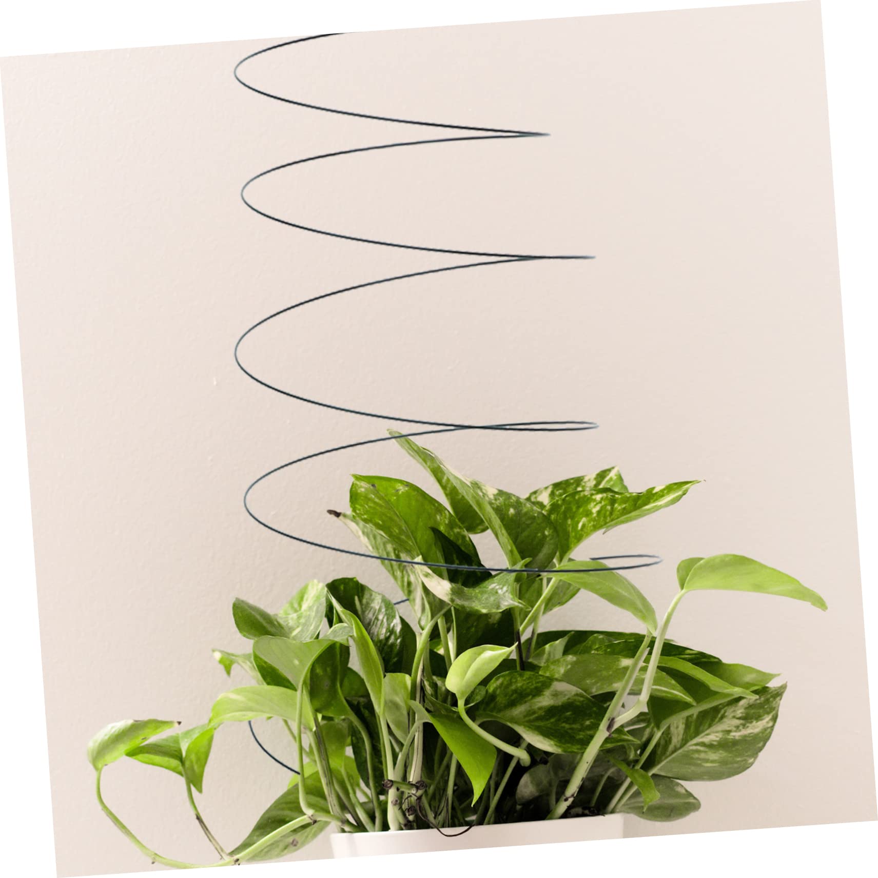 Happyyami 2 Stück Spirale Pflanzenstütze Aus Edelstahl Tomatenkäfig Pflanzhalter Für Garten Balkon Kletterpflanzenstütze Stabil Dehnbar