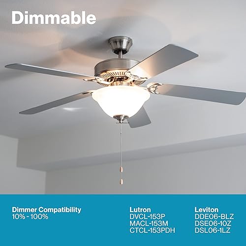 Miniatura 4 de Paquete de 10 unidades de bombillos A15 de 8 W