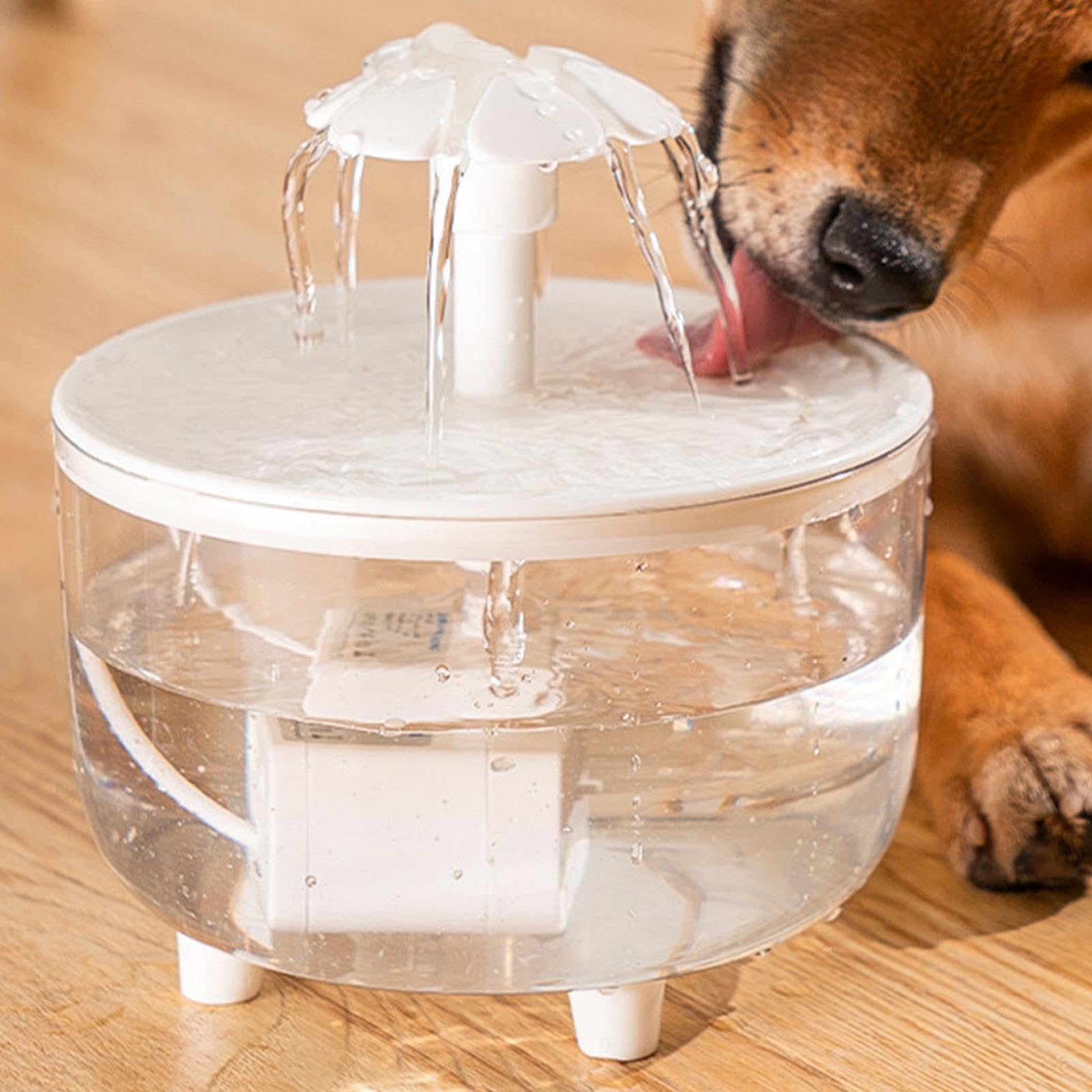 Amazon | 猫用ウォーターファウンテン、1L 猫用犬用飲用ディスペンサー
