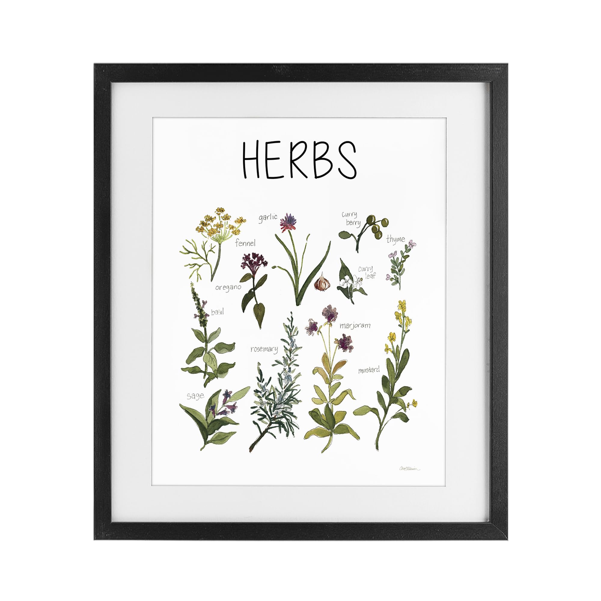 'Herbs Identification Chart'| Framed Print Under Glass