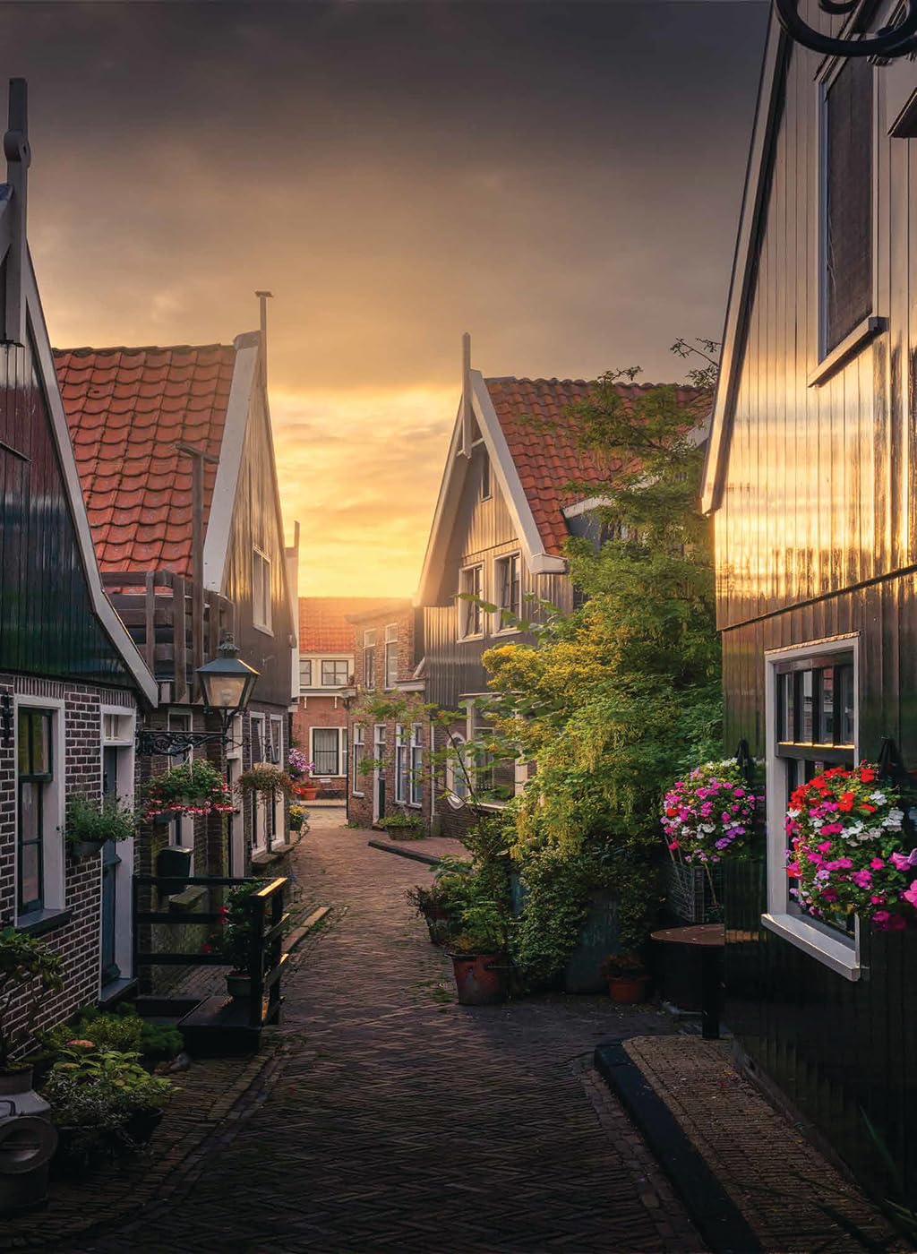 The Beauty of the Netherlands: 10 Years of Photography by Albert Dros