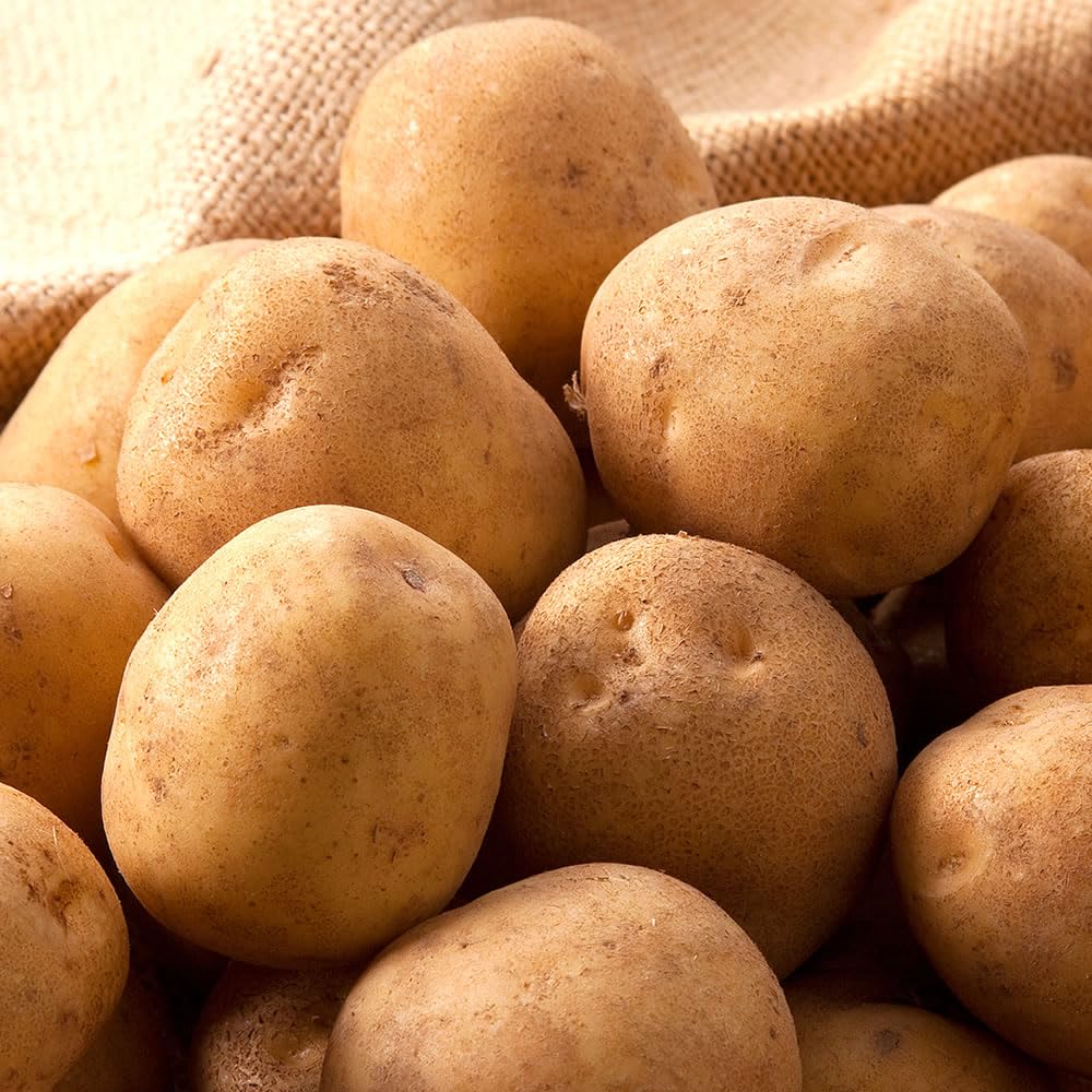 Amazon.co.jp: 北海道産 訳あり 新じゃが じゃがいも 10kg (品種お任せ