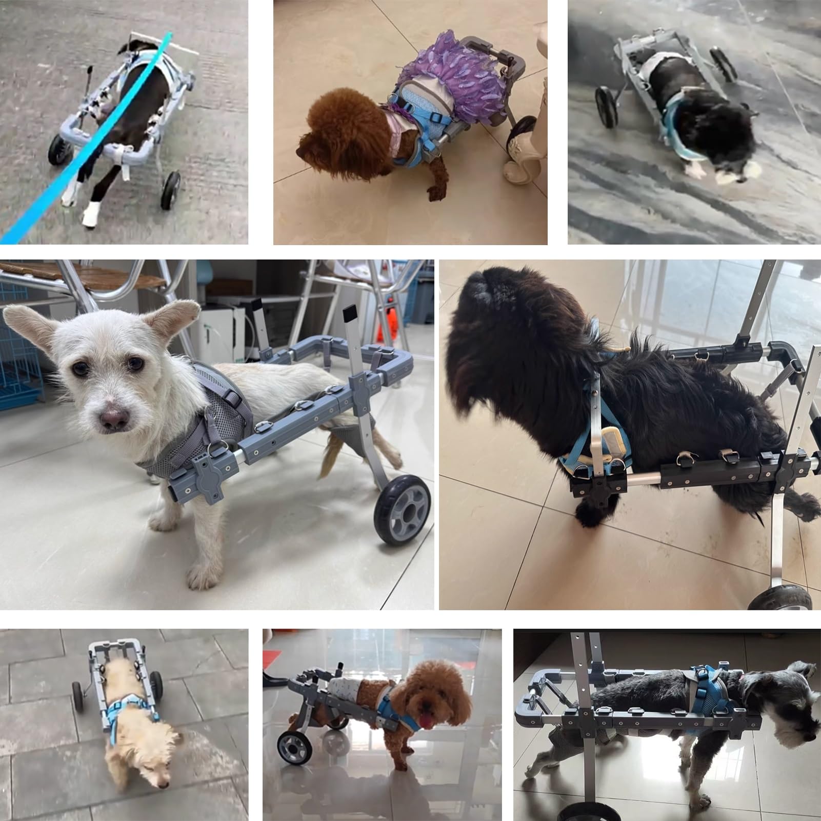Sprzęt rehabilitacyjny dla zwierząt domowych Lekki wózek dla psa/samochodu z funkcją wspomagania chodzenia, 6 kółek, urządzenie wspomagające mobilność zwierząt domowych, orteza na nogi i biodra(L)