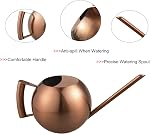 IMEEA Watering Can for Indoor Plants Stainless Steel Watering Can with Long Spout 45oz/1.3L (Copper Color)