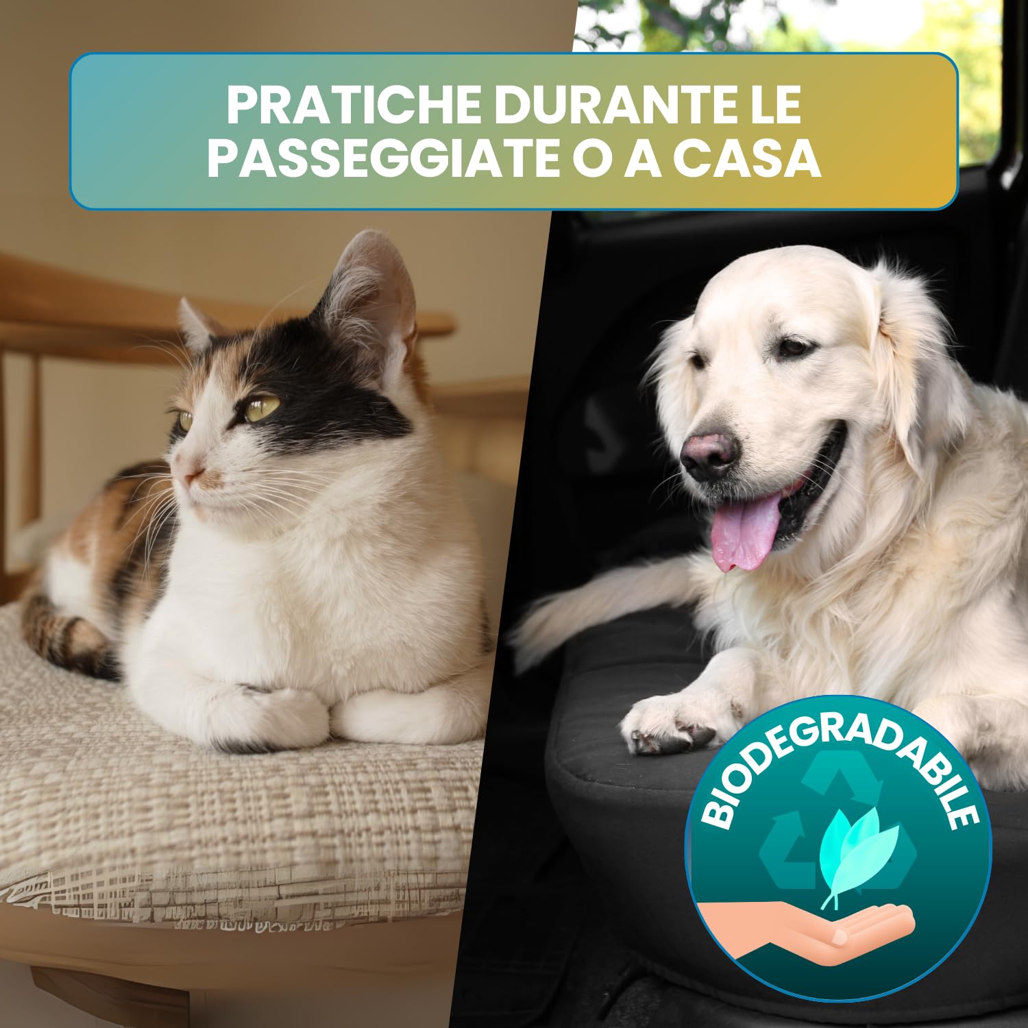 Salviette per Cani e Gatti (1000 unità) – detergenti e idratanti – per Occhi, Orecchie, Zampe e Pelo – igiene Quotidiana Animale – Confezione 20 x 50 salviettine
