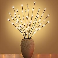 XIANMU Battery Operated LED Willow Branch Lights 30 Inch 20 Warm White LEDs Pack of 2 Vase Filler for Christmas Party Indoor Outdoor Decor