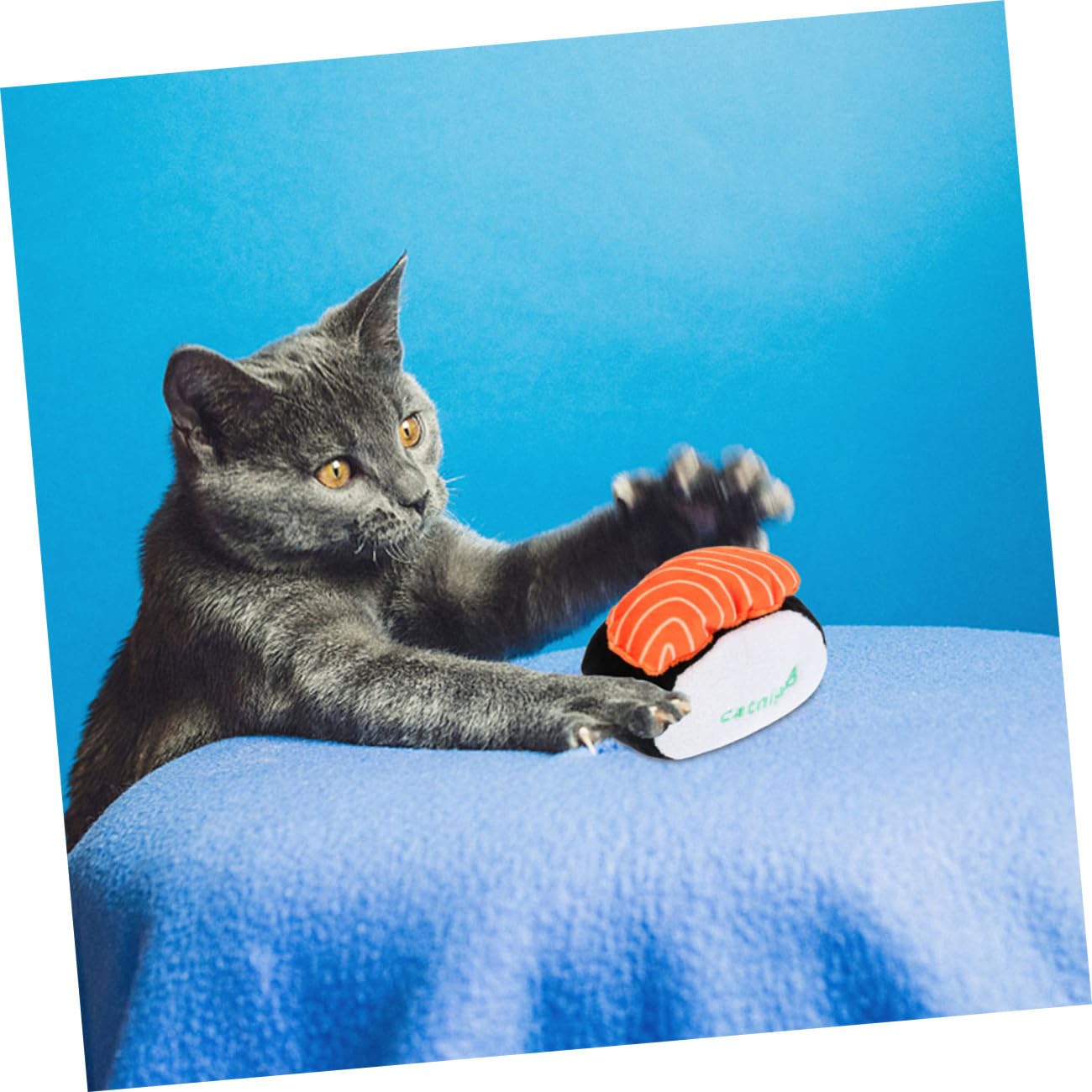 Yardwe 9stücke Teiliges Katzenminze-Spielzeug Plüsch Kau Und Interaktionsspielzeug Mit Quietscher Für Gesunde Zähne Und Spielerische Unterhaltung Von Katzen