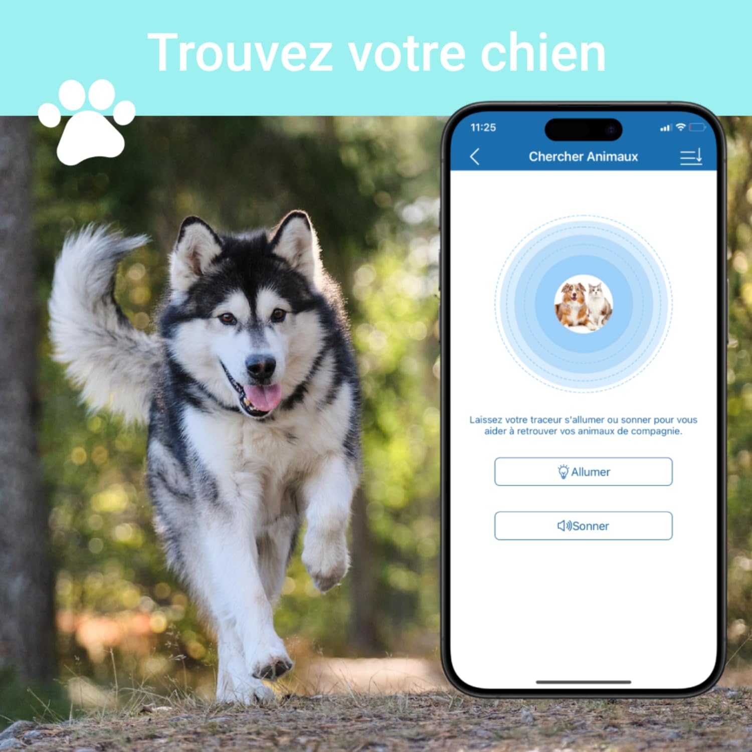 Collier GPS 4G TK919 Pro pour Chien - Traceur Anti-Fugue, Anti-Perte, Étanche - Moniteur d'Activité et Localisateur (Collier Inclus, Carte SIM Requise)