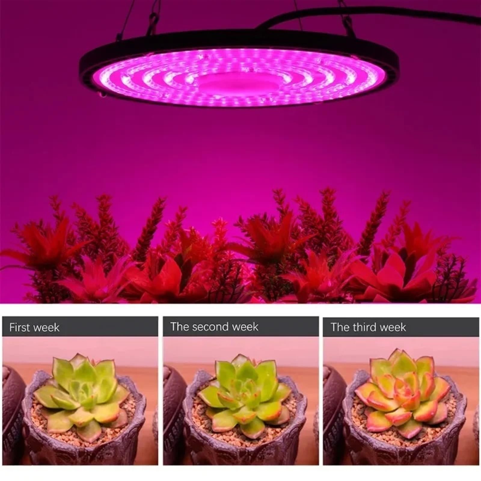 Lampa roślinna, 100W 150W 200W Pełne Spektrum Światła Do Uprawy Roślin Lampa LED Słoneczna Wysoki PPFD Oświetlenia Namiotu Szklarniowego W Pomieszczeniach(100W,Pink)
