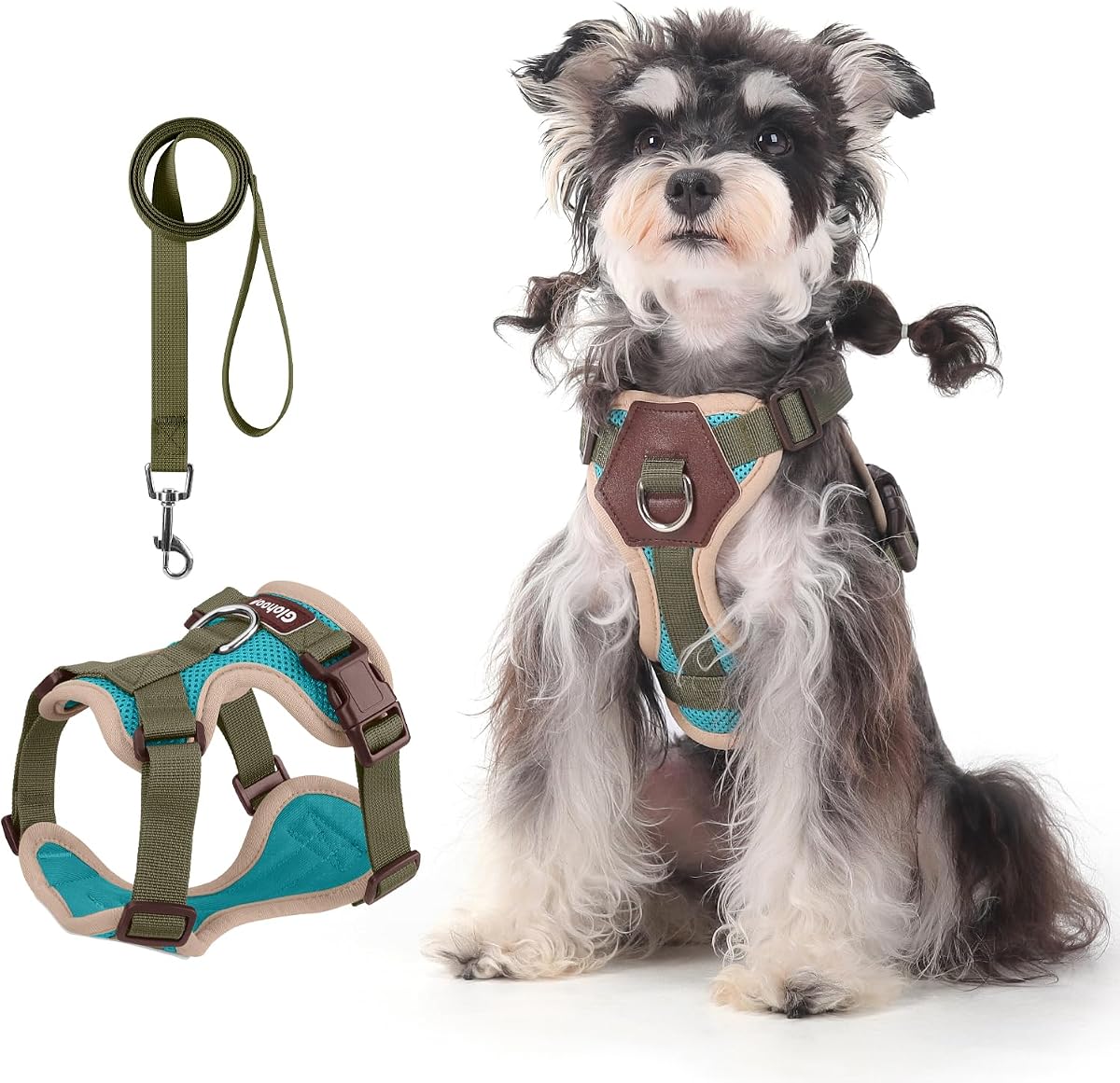 Small Dog Harness and Leash Set, Breathable Mesh Puppy Harness, Adjustable Dog Harness for Small Medium Large Dogs, No-Pull Pet Harness for Daily Walking (Lakeblue, Medium)