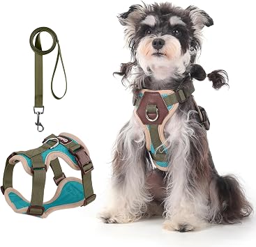 Small Dog Harness and Leash Set, Breathable Mesh Puppy Harness, Adjustable Dog Harness for Small Medium Large Dogs, No-Pull Pet Harness for Daily Walking Lakeblue, Large