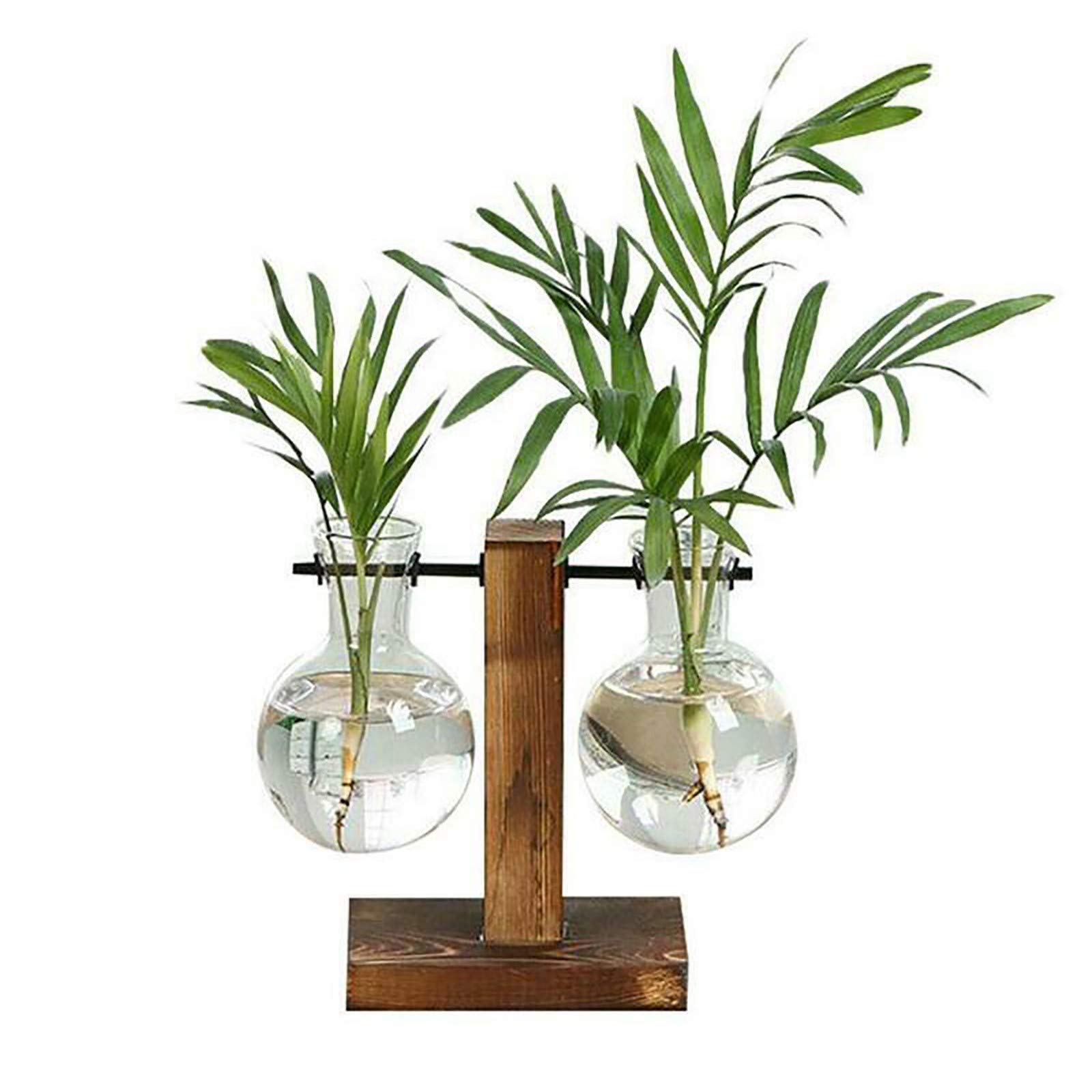Vaso per Bonsai in vetro scaffale in legno morto vasi per piante idroponiche vaso da fiori arte cornice in legno terrario accessori per la decorazione della casa  15
