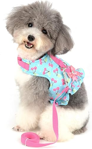 SMALLLEE_LUCKY_STORE Arnés con estampado de cereza, para gatos y perros pequeños, con correa para niñas, ajustable, sin tirones, a prueba de