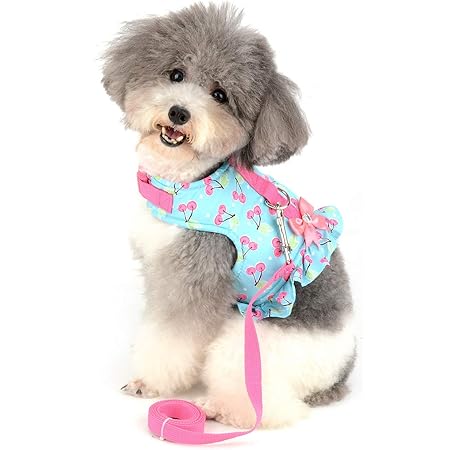 dog harness with bow