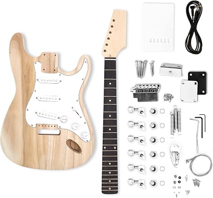 Guitarkit.shop Zebra wood DIY Kit de guitarra eléctrica / Guitarra  (GTS-950M1) | Wish