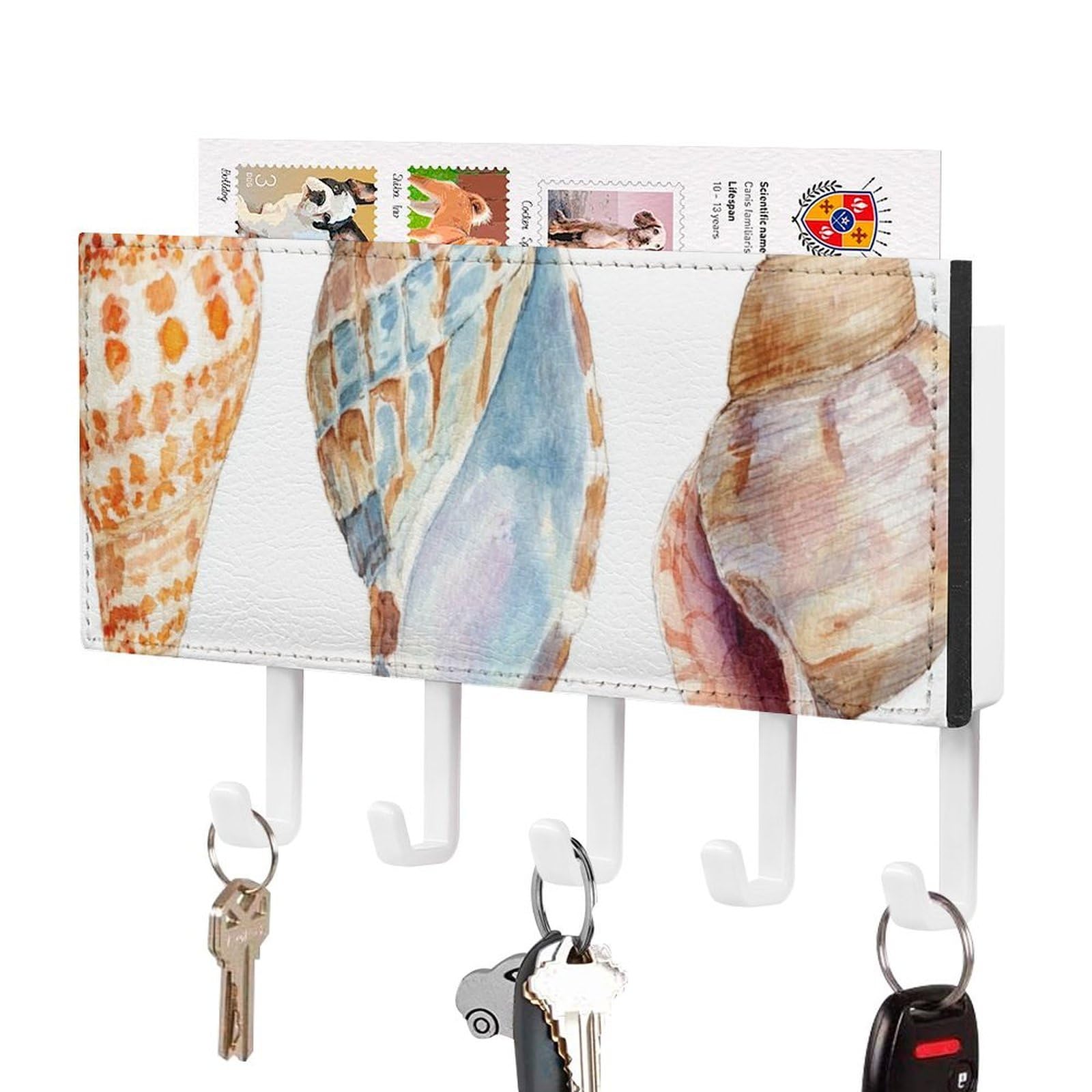 Jubonexis Three Watercolor Seashell Wall Mount with 5 Hooks Acrylic Key Rack for Home Office Entryway