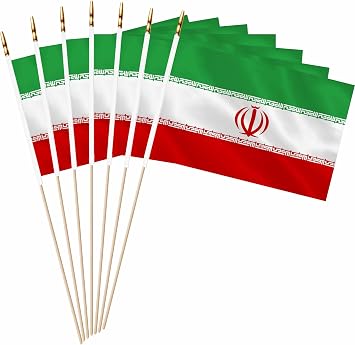20 Pack Small Mini Iran Flag on Wooden Stick Miniature Handheld Iranian Flags Decorations,5x8 Inch