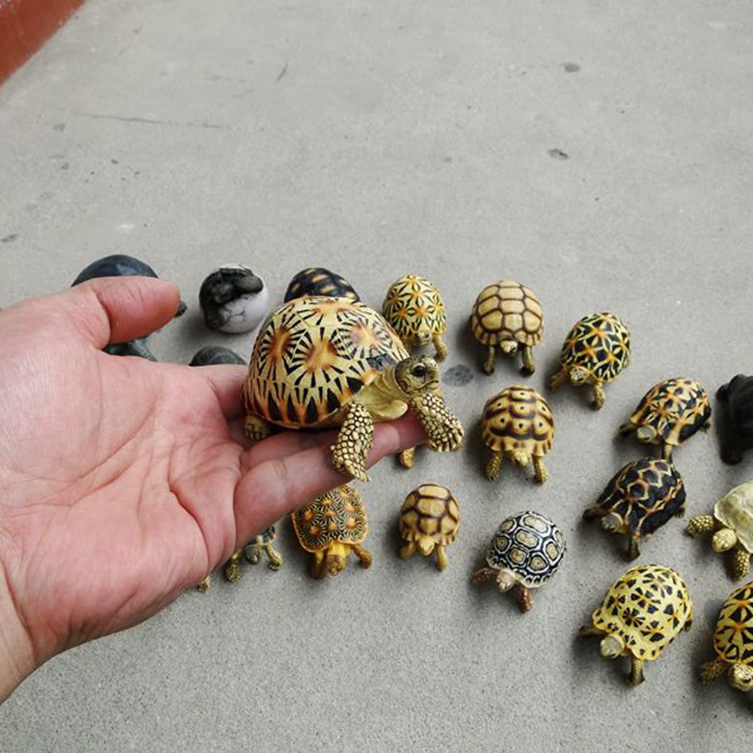 Amazon | Bignick 亀 カメ 動物 模型 縁起物 吉兆 置物 飾り