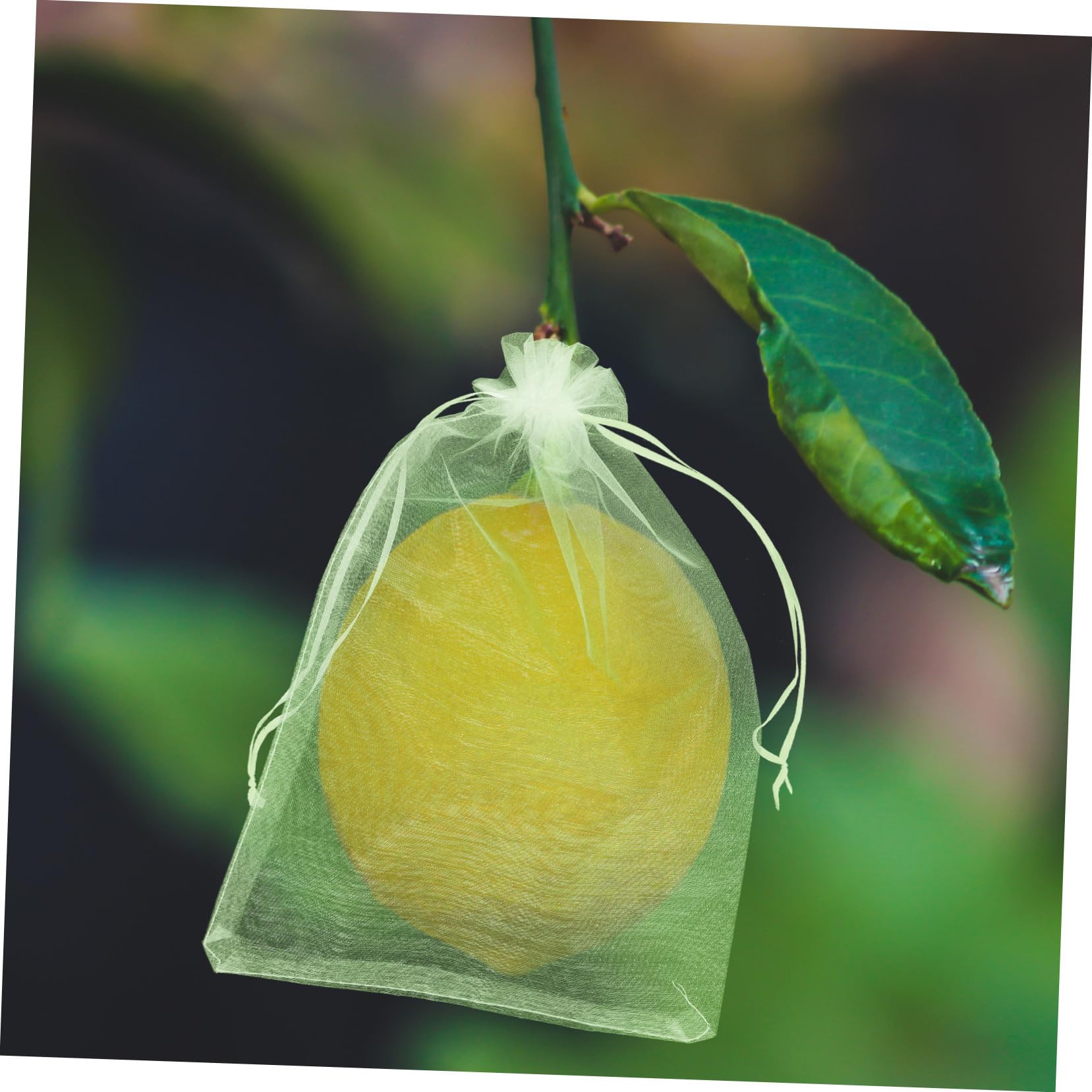 Red de Protección para Fruta Cordón, 100 Unidades Verde | Poliéster Organza, Diseño Cierre Ajustable, para Cultivo de Tomates y Fresas