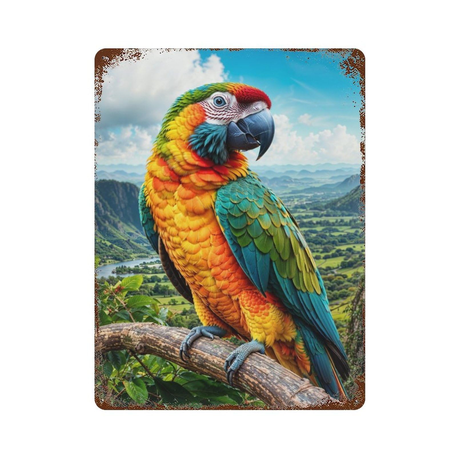Colorful Parrot Decorative Tin Sign 15.7"x11.8", for Bistro, Counter And Cafe Decor, Classic Wall Plaque