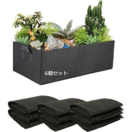Amazon Co Jp 植木ポットおしゃれ 植物栽培バッグポット 矩形 ６個セット 布鉢 不織布ポット プランター 植え袋プランター フェルト 植物育成 野菜栽培 発育促進 ガーデン ホーム キッチン