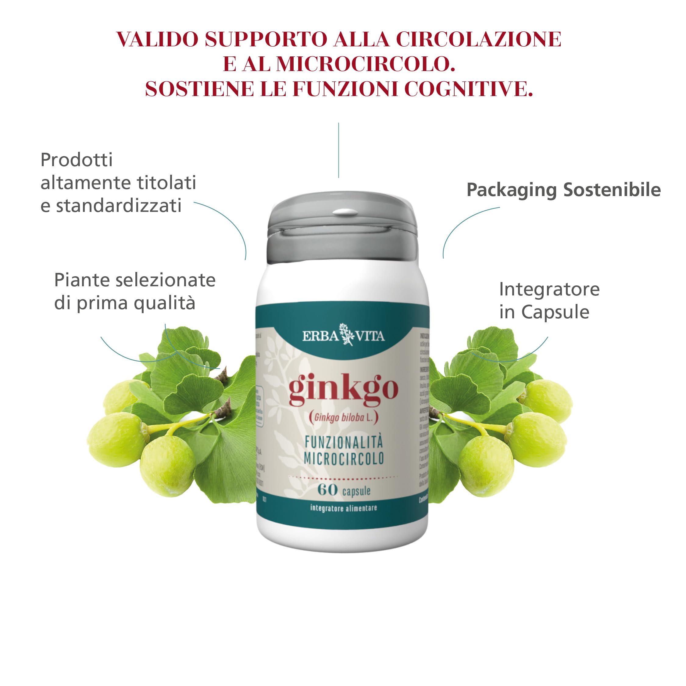 Erba Vita Integratore Alimentare di Ginkgo - 60 Capsule