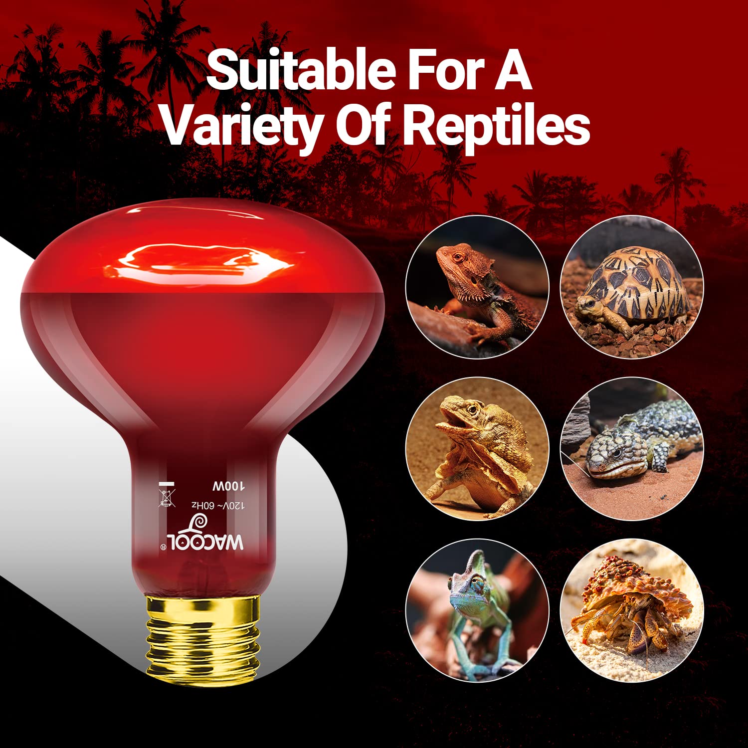 WACOOL 4 Pack Reptile Heat Lamp Bulbs,100W Infrared Basking Spot Light for Reptiles & Amphibians, Red Heat Lamp Bulb for Bearded Dragon Gecko Turtle Lizard (75, Watts)… - image 6