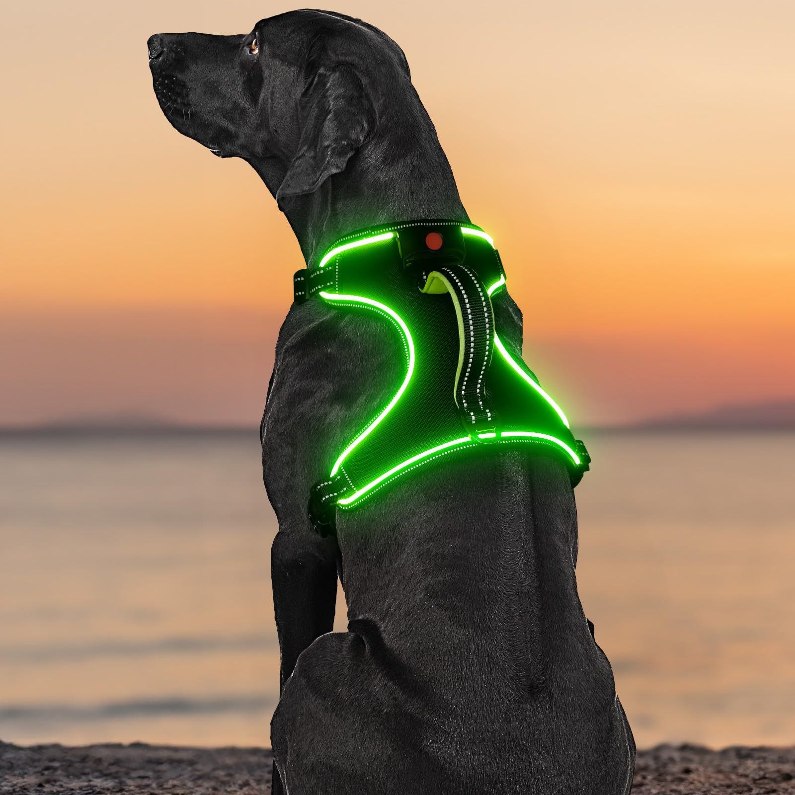 Pettorina per cani con manico, ricaricabile, a LED, riflettente, confortevole, regolabile in 4 punti, per cani di taglia piccola, media, grande e XL