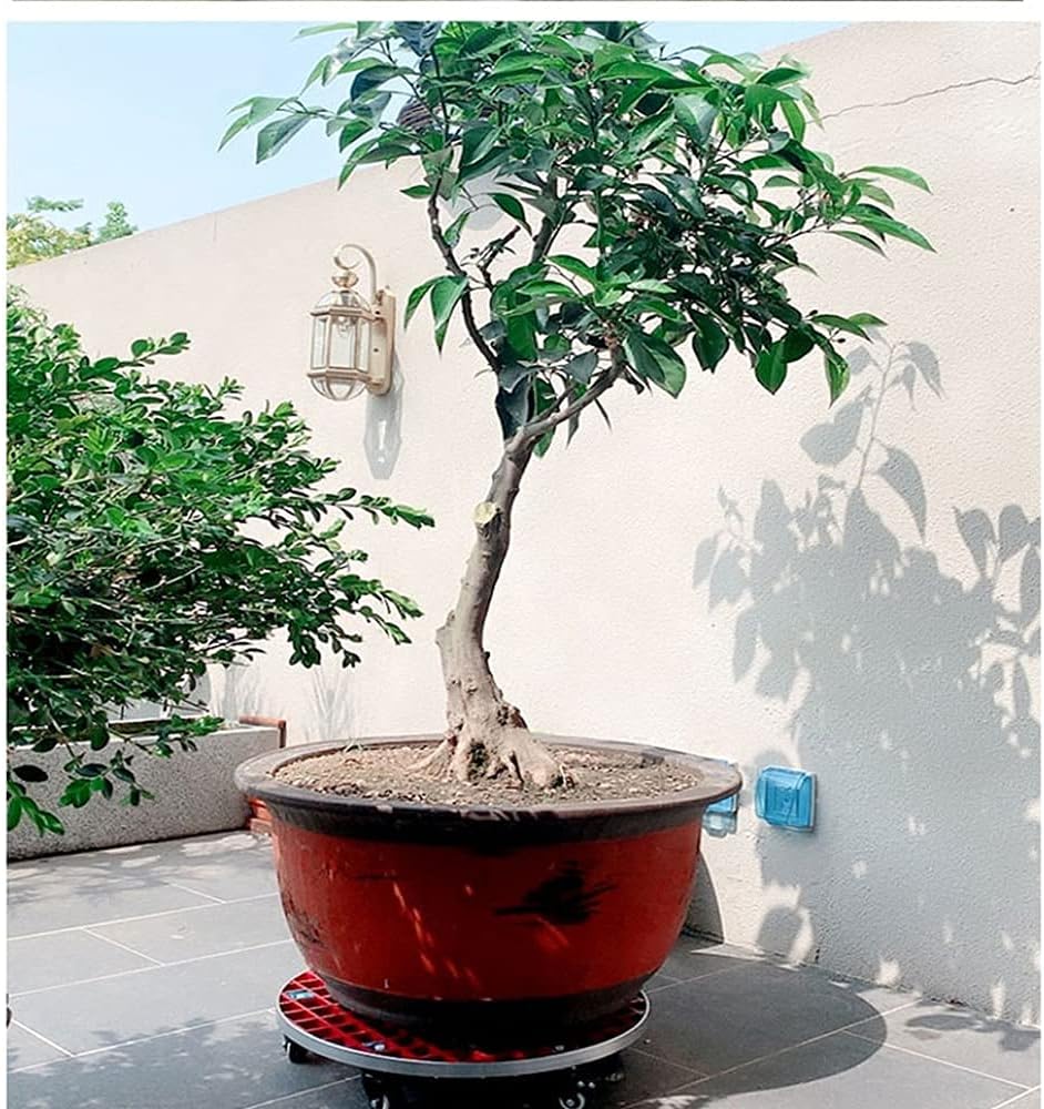 Planter Saucer Tray on Wheels,Rolling Plant Stand with 360° Casters,Round Plant Pallet Caddy 8 Sizes on Heavy Duty Wheels for Home Office Garden (Color:, Size: 21CM)