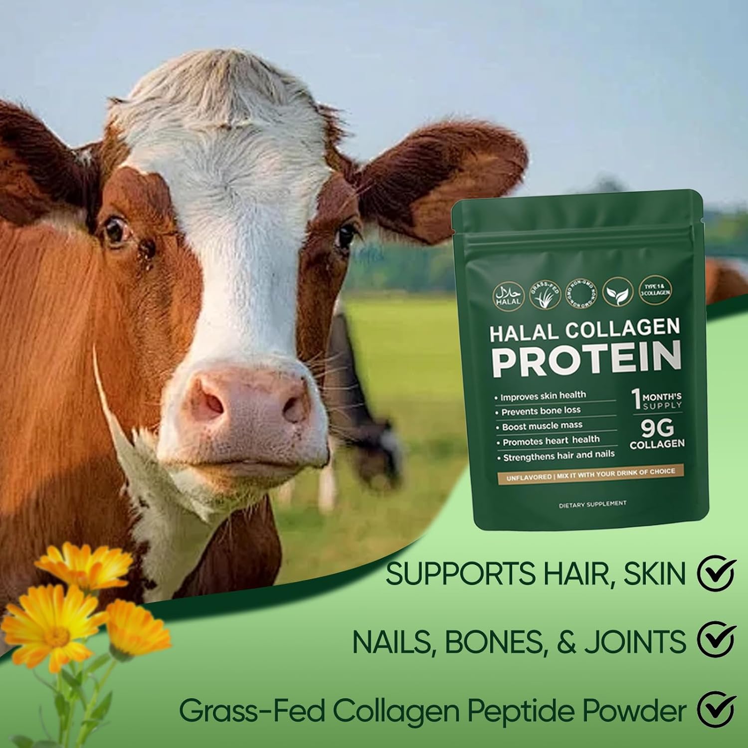 Halal Collagen Protein Powder, Grass-Fed Collagen Peptides Powder, Type I&III, 100% Hydrolyzed for Hair, Skin, Nails, Gut, Bone & Joint Health for Women and Men, Sugar Free, Unflavoured (1) - Image 4