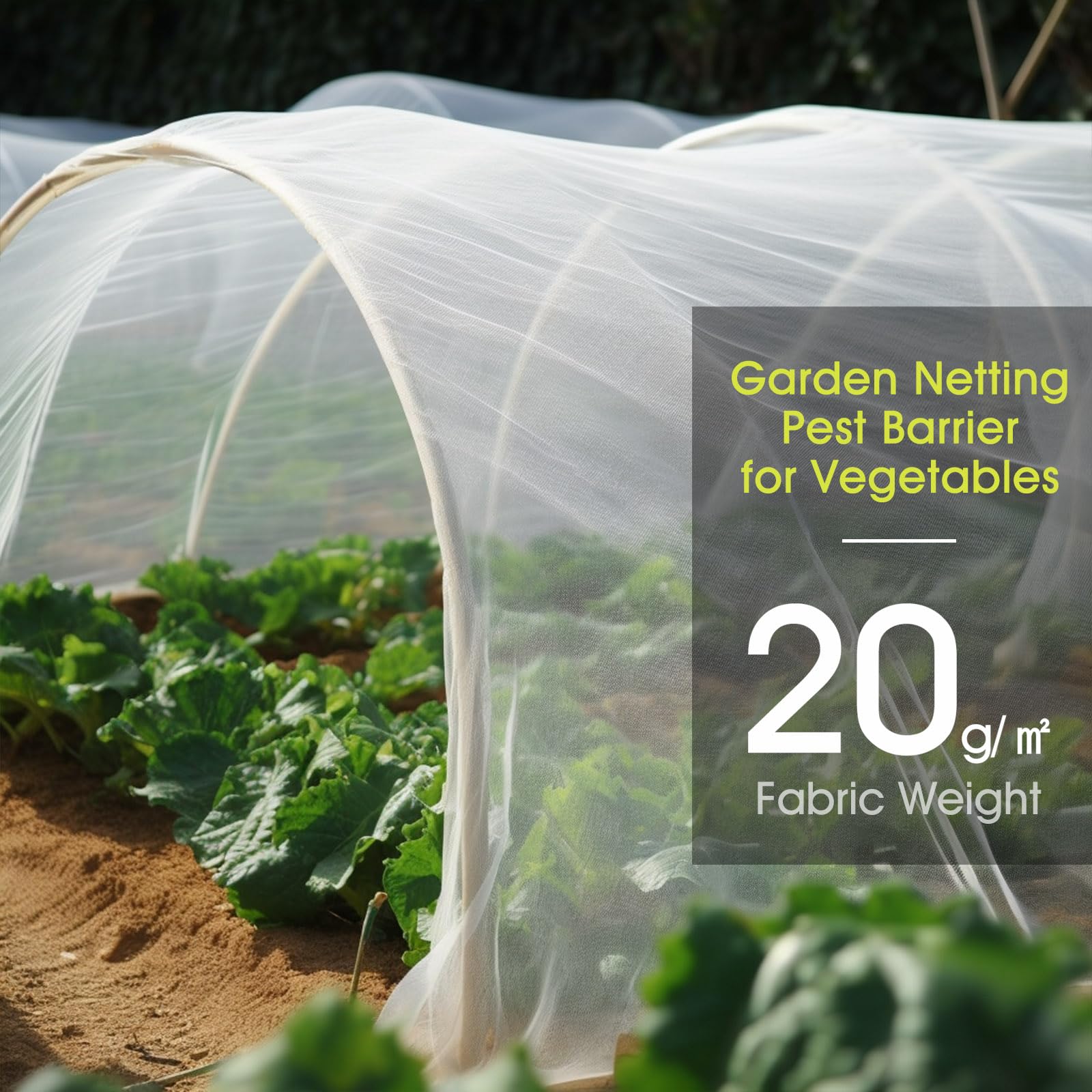 RIFNY Filet de jardin, 3 x 15 m, filet de jardin en maille fine pour extérieur, terrasse, parterre surélevé, protection des plantes, arbres fruitiers, tomates, parasites, cigales (1 pièce, blanc)
